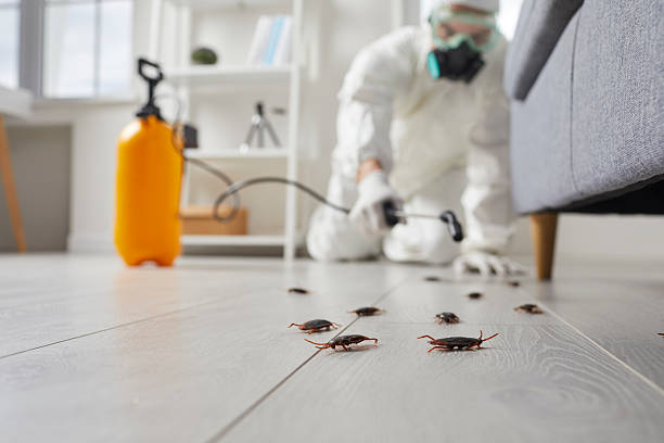 Commercial Kitchen Cockroach Control in Pierre Part